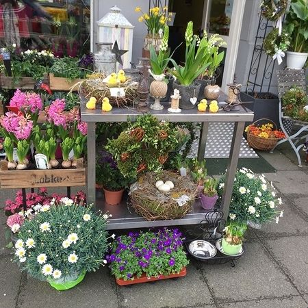 Kübel- und Terrassenbepflanzung