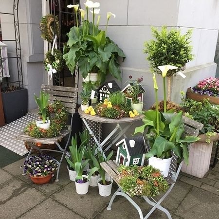 Kübel- und Terrassenbepflanzung