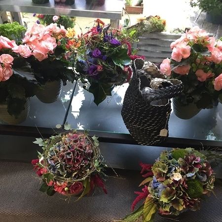 Kübel- und Terrassenbepflanzung