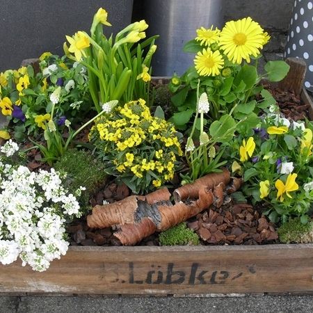 Kübel- und Terrassenbepflanzung
